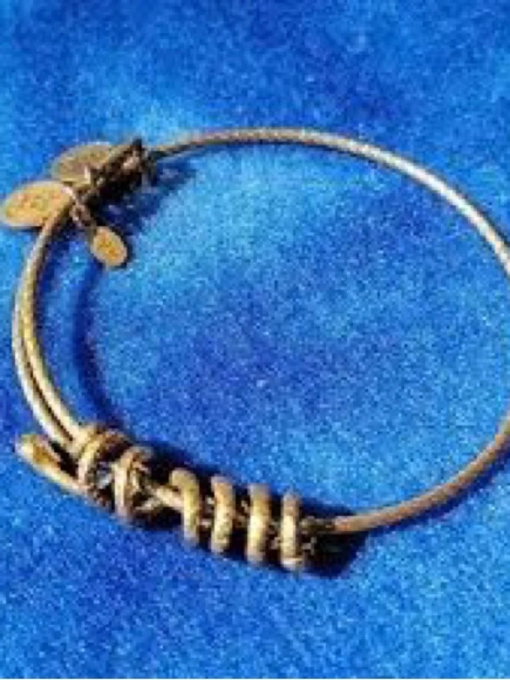 Alex and Ani Vintage Gold Snake Coil Rafaelian Charm Bangle ~